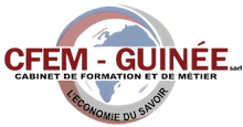 CFEM GUINEE
